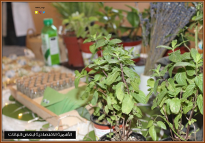 The Biology Department at the College of Applied Sciences Holds an Event Entitled: ‘Sustainable Green Environment’